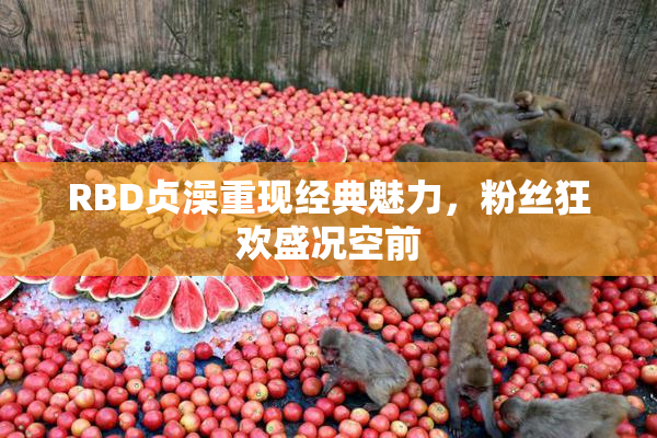 RBD贞澡重现经典魅力，粉丝狂欢盛况空前