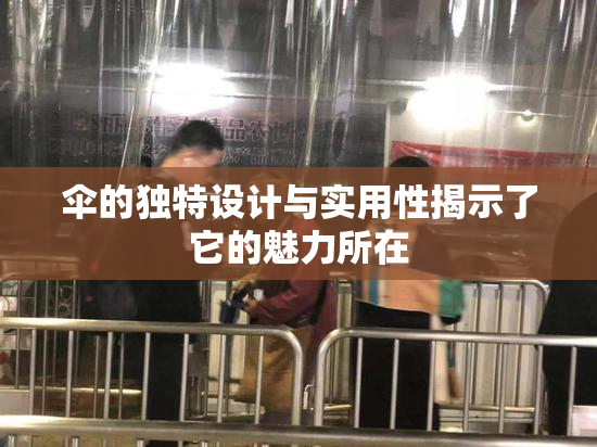 伞的独特设计与实用性揭示了它的魅力所在