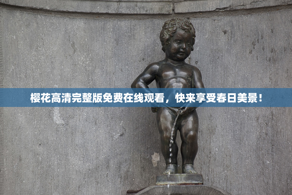 樱花高清完整版免费在线观看，快来享受春日美景！