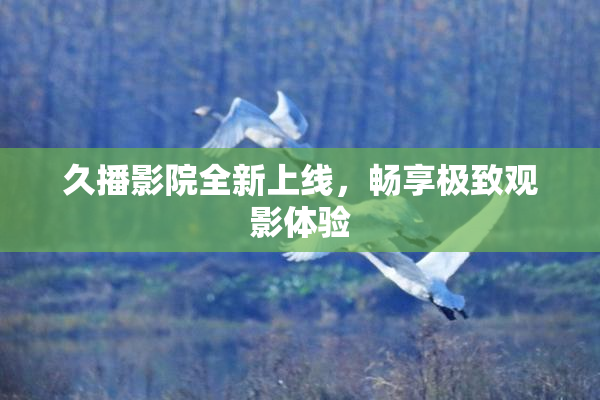 久播影院全新上线，畅享极致观影体验
