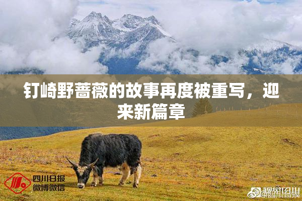 钉崎野蔷薇的故事再度被重写，迎来新篇章