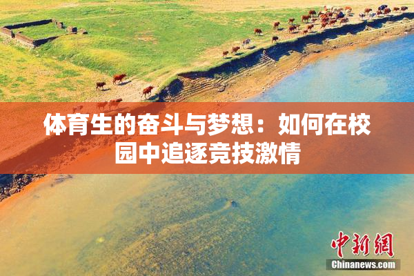 体育生的奋斗与梦想：如何在校园中追逐竞技激情