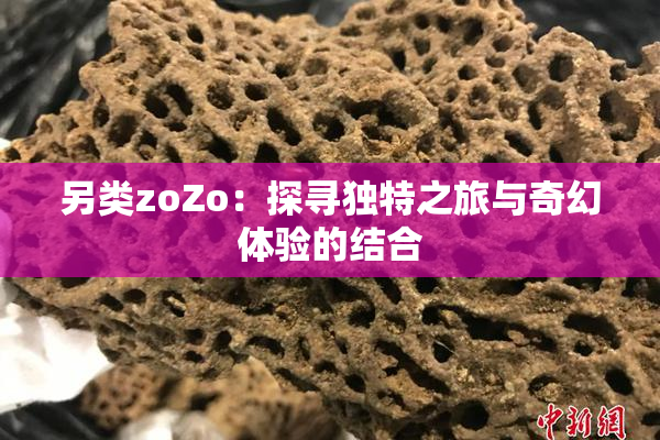 另类zoZo：探寻独特之旅与奇幻体验的结合