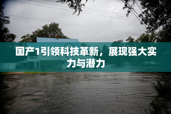国产1引领科技革新，展现强大实力与潜力