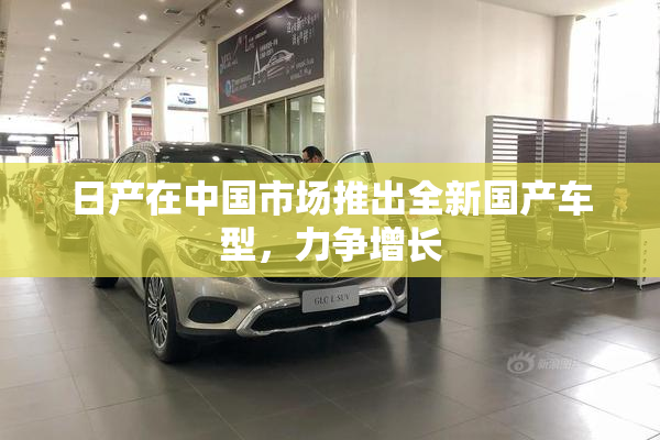 日产在中国市场推出全新国产车型，力争增长
