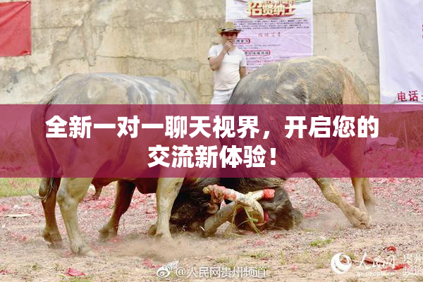 全新一对一聊天视界，开启您的交流新体验！