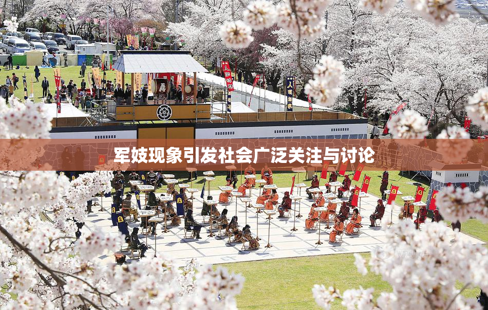 军妓现象引发社会广泛关注与讨论