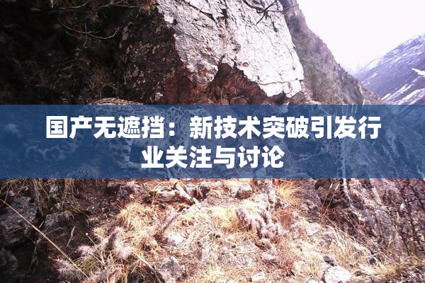国产无遮挡：新技术突破引发行业关注与讨论