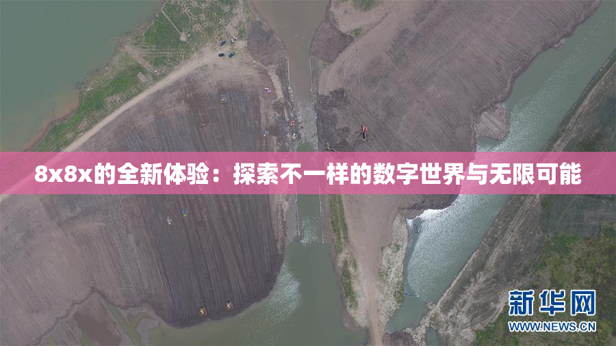 8x8x的全新体验：探索不一样的数字世界与无限可能