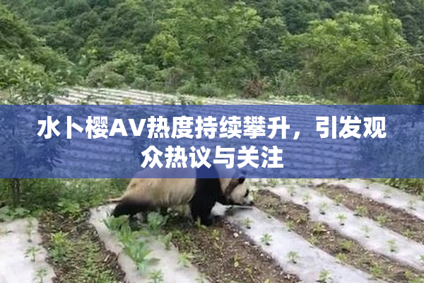 水卜樱AV热度持续攀升，引发观众热议与关注