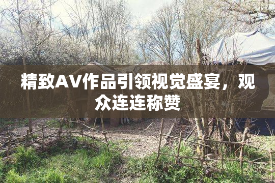 精致AV作品引领视觉盛宴，观众连连称赞