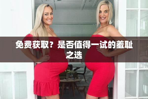 免费获取？是否值得一试的羞耻之选