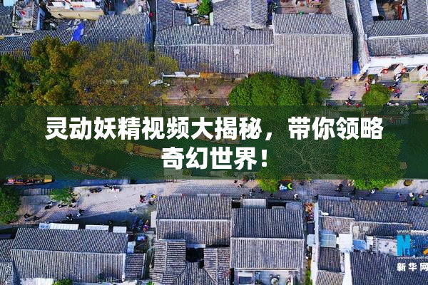灵动妖精视频大揭秘，带你领略奇幻世界！