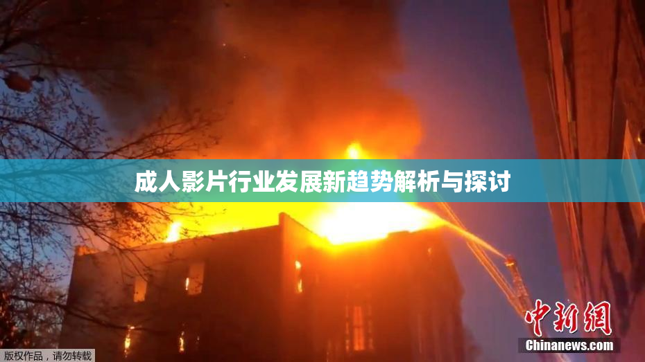 成人影片行业发展新趋势解析与探讨
