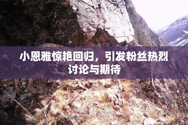 小恩雅惊艳回归，引发粉丝热烈讨论与期待