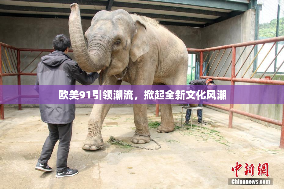 欧美91引领潮流，掀起全新文化风潮