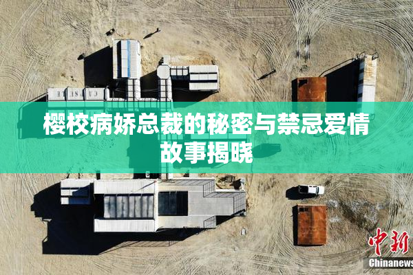 樱校病娇总裁的秘密与禁忌爱情故事揭晓