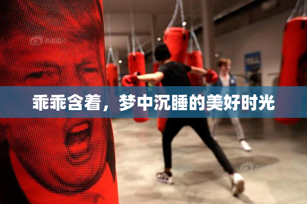 乖乖含着，梦中沉睡的美好时光
