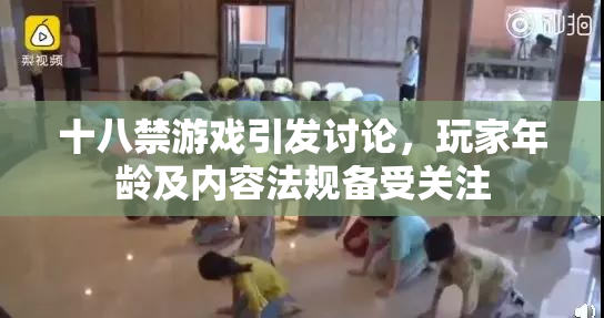 十八禁游戏引发讨论，玩家年龄及内容法规备受关注