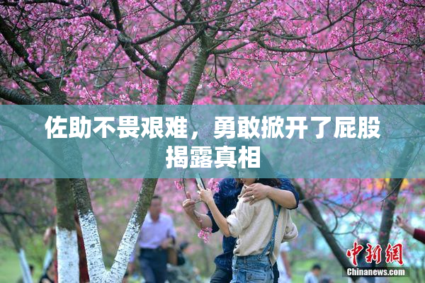 佐助不畏艰难，勇敢掀开了屁股揭露真相