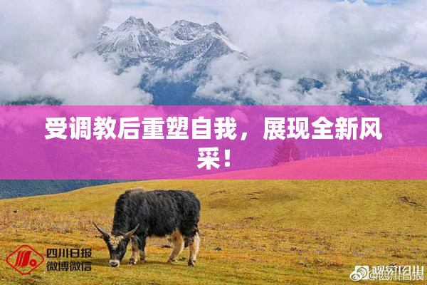 受调教后重塑自我，展现全新风采！