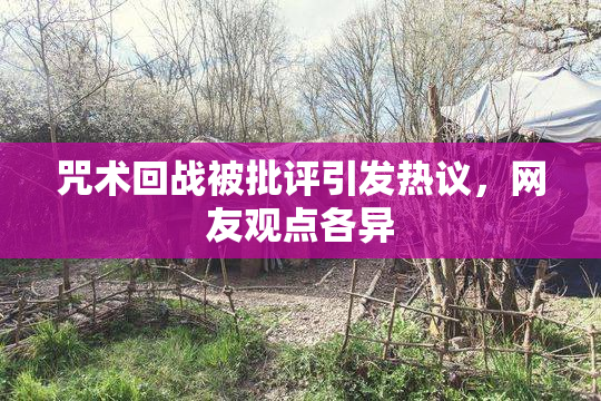 咒术回战被批评引发热议，网友观点各异