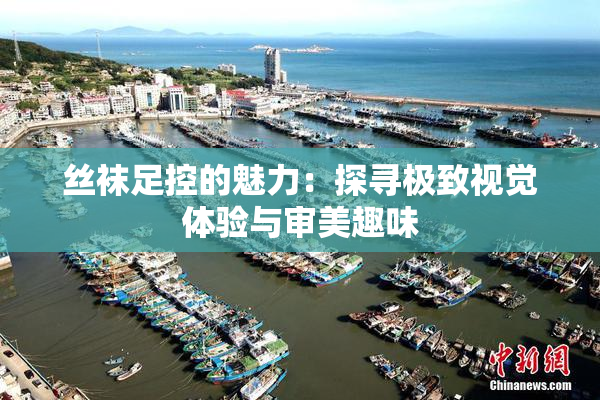 丝袜足控的魅力：探寻极致视觉体验与审美趣味