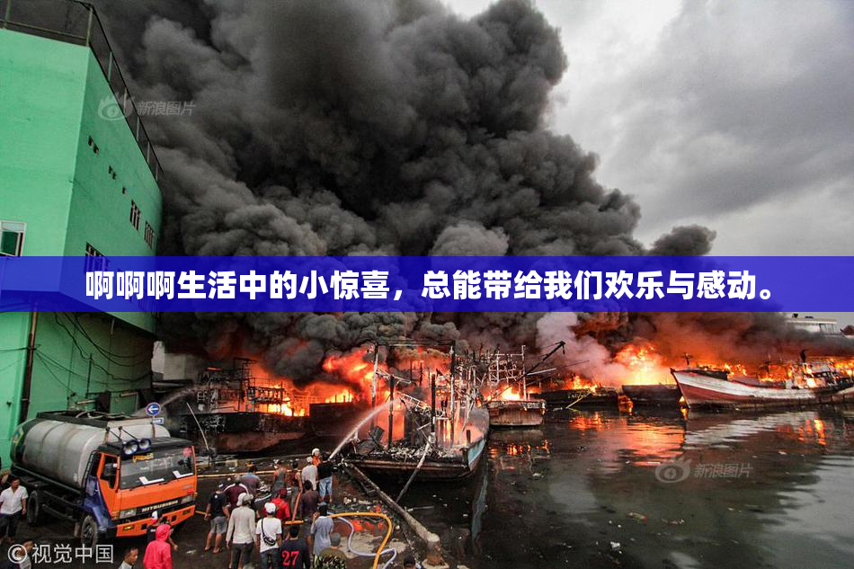 啊啊啊生活中的小惊喜，总能带给我们欢乐与感动。