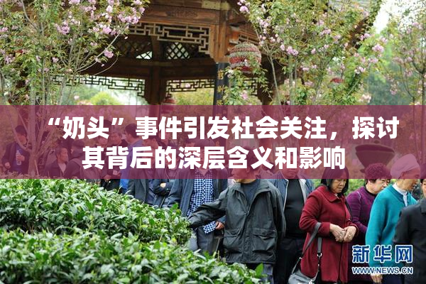 “奶头”事件引发社会关注，探讨其背后的深层含义和影响