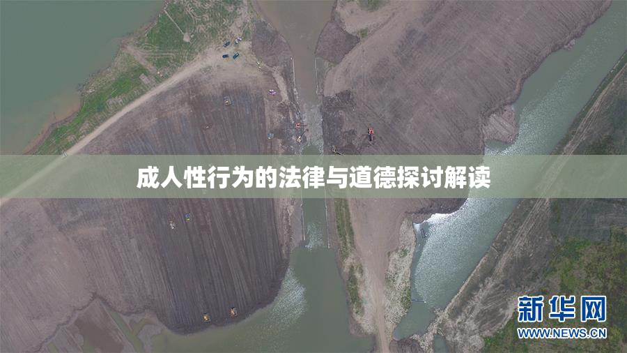 成人性行为的法律与道德探讨解读