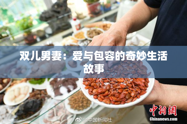 双儿男妻：爱与包容的奇妙生活故事