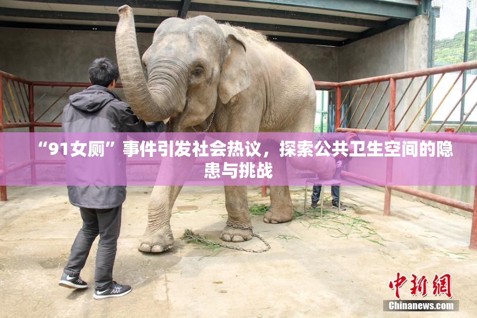 “91女厕”事件引发社会热议，探索公共卫生空间的隐患与挑战