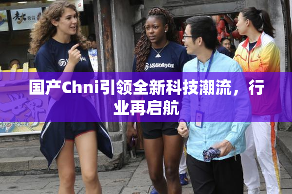 国产Chni引领全新科技潮流，行业再启航