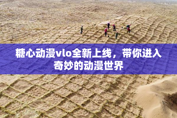 糖心动漫vlo全新上线，带你进入奇妙的动漫世界