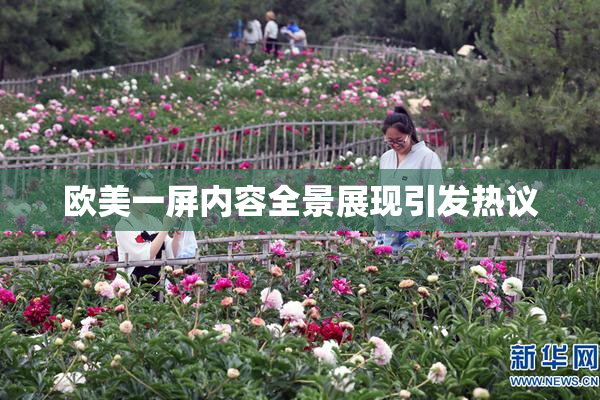 欧美一屏内容全景展现引发热议