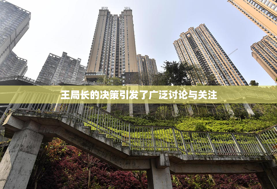王局长的决策引发了广泛讨论与关注
