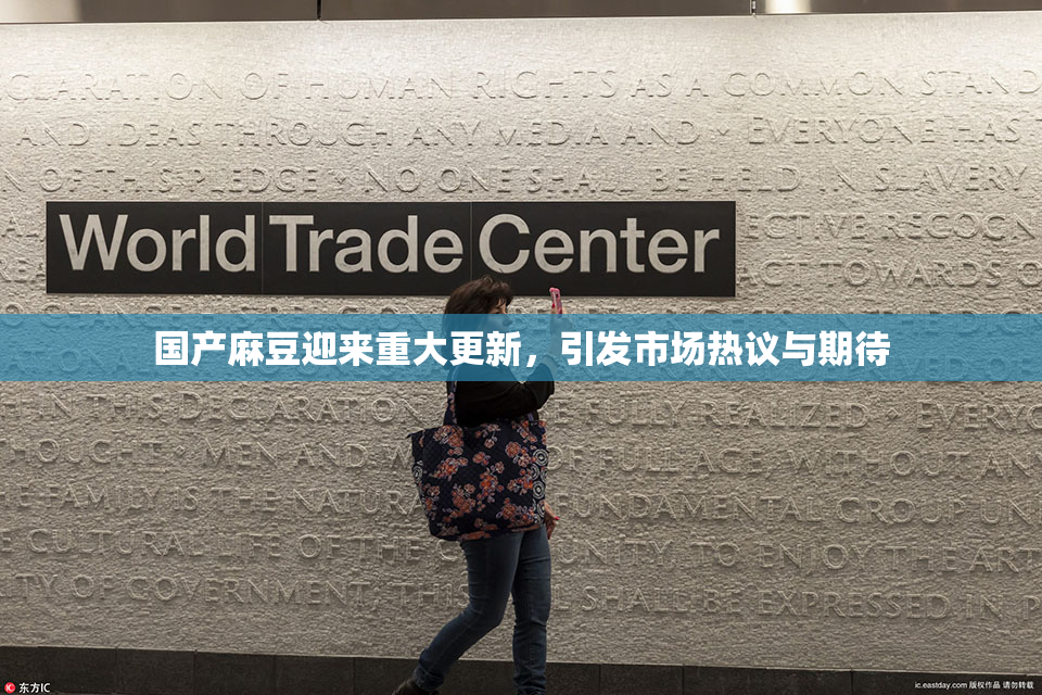 国产麻豆迎来重大更新，引发市场热议与期待
