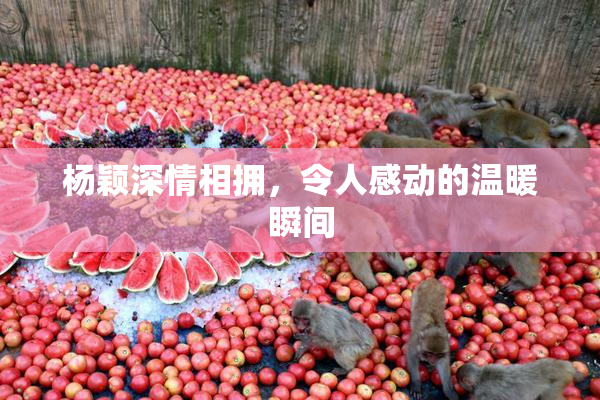 杨颖深情相拥，令人感动的温暖瞬间