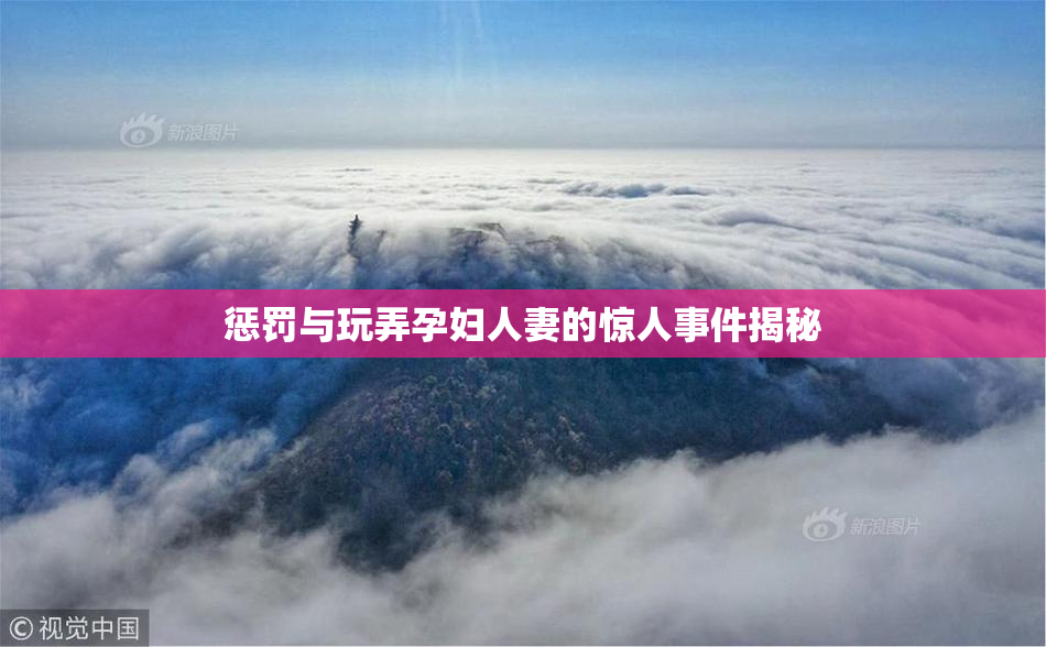惩罚与玩弄孕妇人妻的惊人事件揭秘