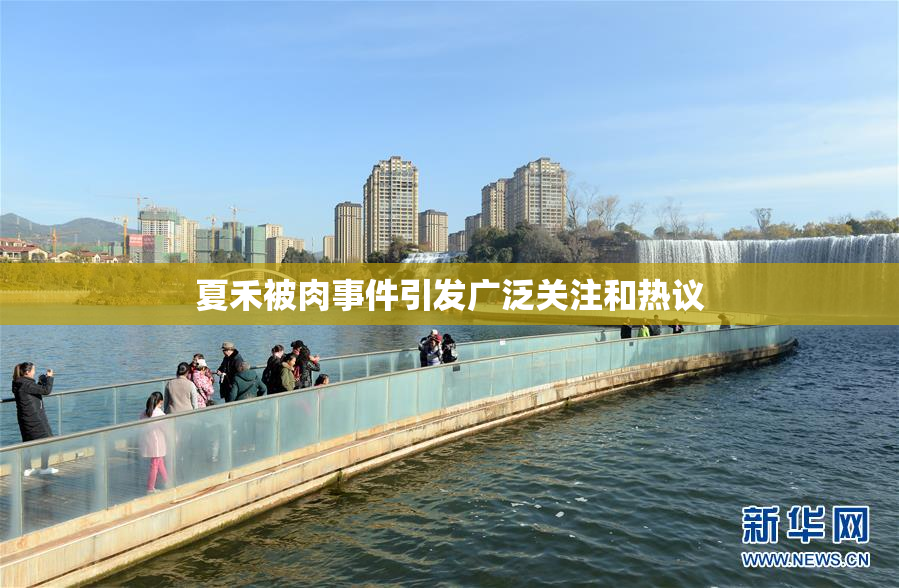 夏禾被肉事件引发广泛关注和热议