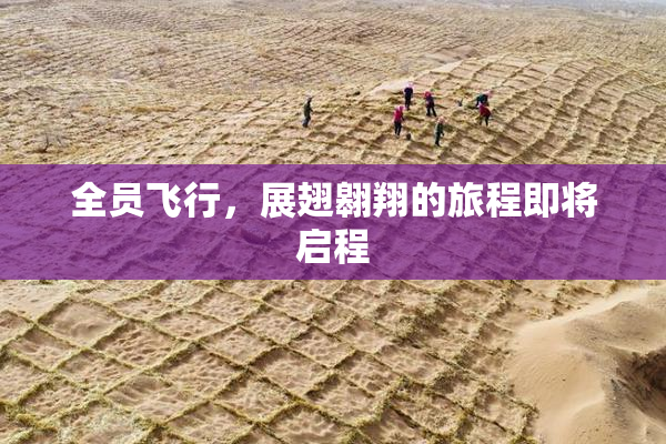 全员飞行，展翅翱翔的旅程即将启程