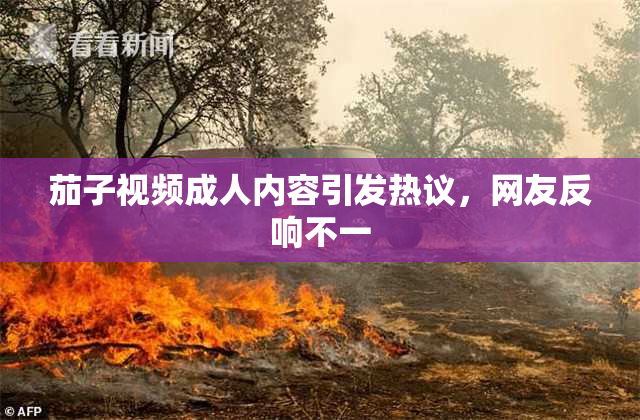 茄子视频成人内容引发热议，网友反响不一