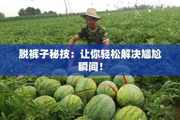 脱裤子秘技：让你轻松解决尴尬瞬间！