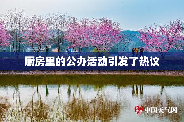 厨房里的公办活动引发了热议