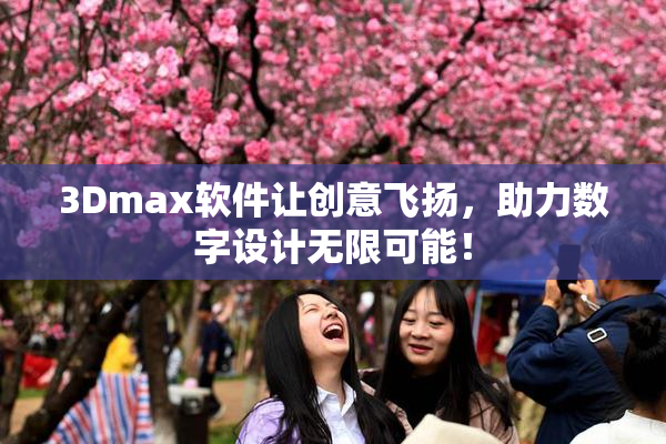 3Dmax软件让创意飞扬，助力数字设计无限可能！