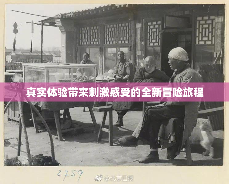 真实体验带来刺激感受的全新冒险旅程