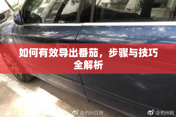 如何有效导出番茄，步骤与技巧全解析