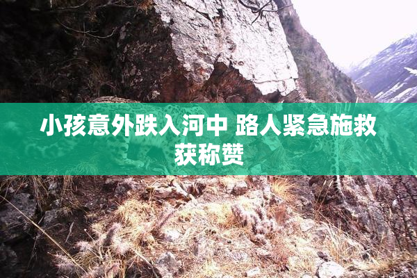 小孩意外跌入河中 路人紧急施救获称赞