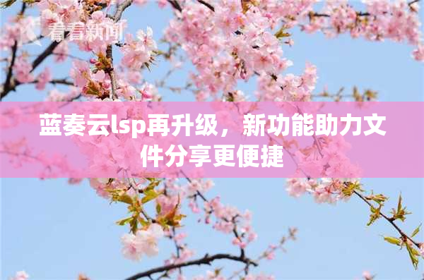 蓝奏云lsp再升级，新功能助力文件分享更便捷