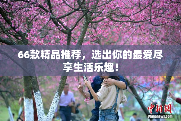66款精品推荐，选出你的最爱尽享生活乐趣！